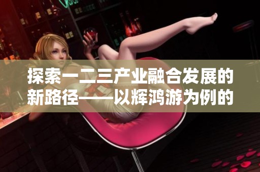 探索一二三产业融合发展的新路径——以辉鸿游为例的深入研究与未来展望