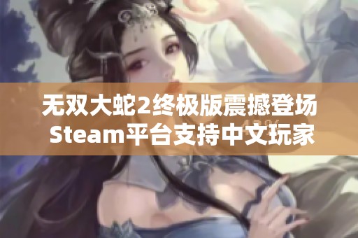 无双大蛇2终极版震撼登场 Steam平台支持中文玩家狂热追捧