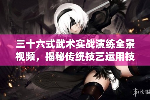 三十六式武术实战演练全景视频，揭秘传统技艺运用技巧
