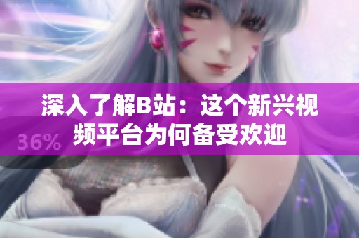 深入了解B站：这个新兴视频平台为何备受欢迎