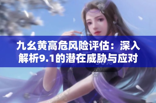 九幺黄高危风险评估：深入解析9.1的潜在威胁与应对策略