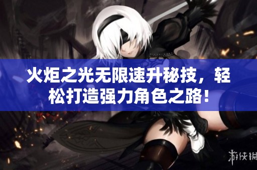 火炬之光无限速升秘技，轻松打造强力角色之路！