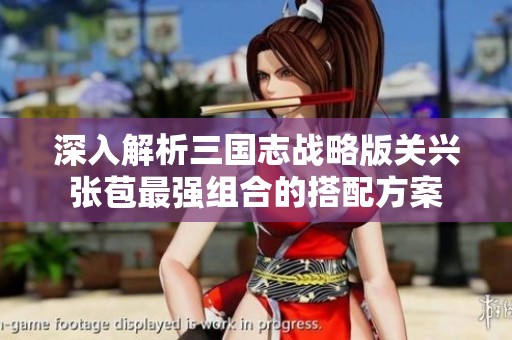 深入解析三国志战略版关兴张苞最强组合的搭配方案