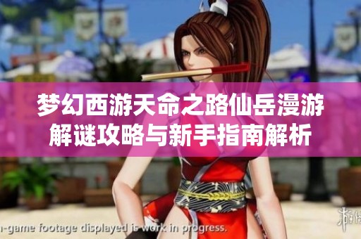 梦幻西游天命之路仙岳漫游解谜攻略与新手指南解析