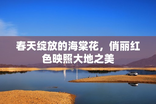 春天绽放的海棠花，俏丽红色映照大地之美