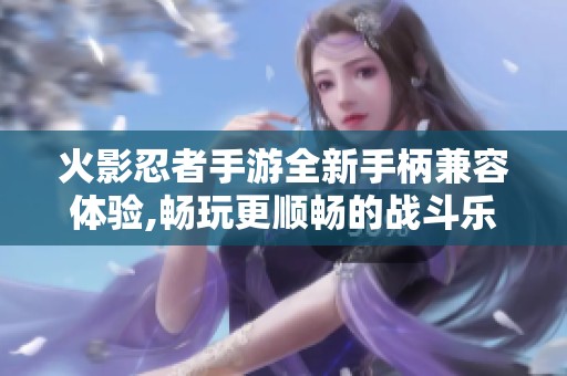 火影忍者手游全新手柄兼容体验,畅玩更顺畅的战斗乐趣