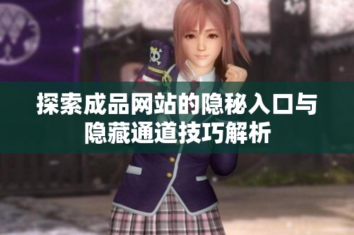 探索成品网站的隐秘入口与隐藏通道技巧解析