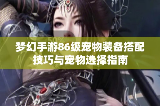 梦幻手游86级宠物装备搭配技巧与宠物选择指南