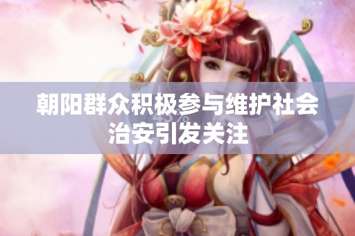 朝阳群众积极参与维护社会治安引发关注