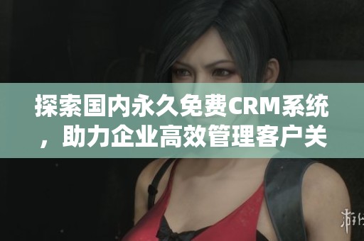 探索国内永久免费CRM系统，助力企业高效管理客户关系
