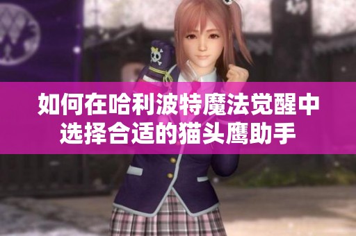 如何在哈利波特魔法觉醒中选择合适的猫头鹰助手