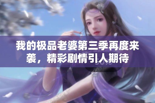 我的极品老婆第三季再度来袭，精彩剧情引人期待