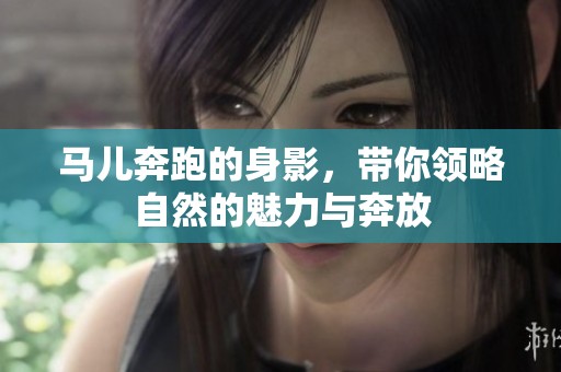 马儿奔跑的身影，带你领略自然的魅力与奔放