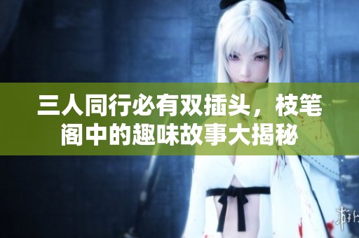 三人同行必有双插头，枝笔阁中的趣味故事大揭秘
