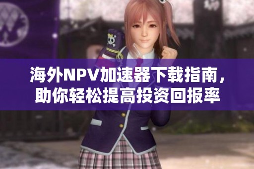 海外NPV加速器下载指南，助你轻松提高投资回报率
