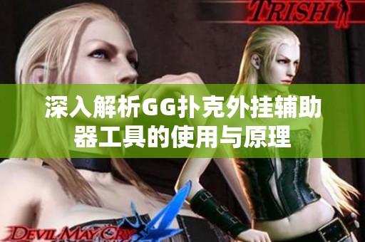 深入解析GG扑克外挂辅助器工具的使用与原理