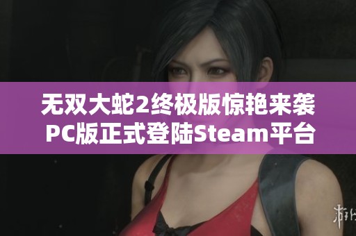 无双大蛇2终极版惊艳来袭 PC版正式登陆Steam平台
