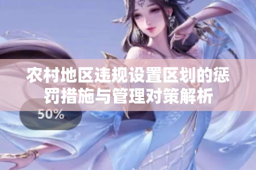农村地区违规设置区划的惩罚措施与管理对策解析