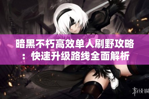 暗黑不朽高效单人刷野攻略：快速升级路线全面解析