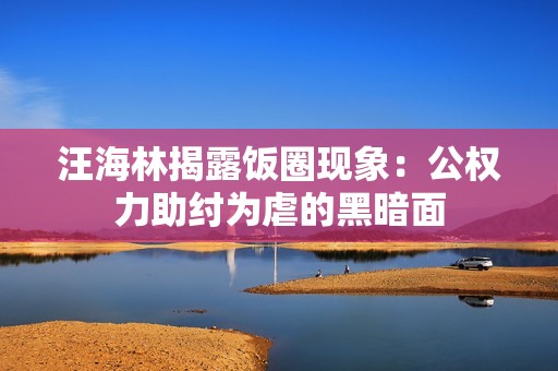 汪海林揭露饭圈现象：公权力助纣为虐的黑暗面