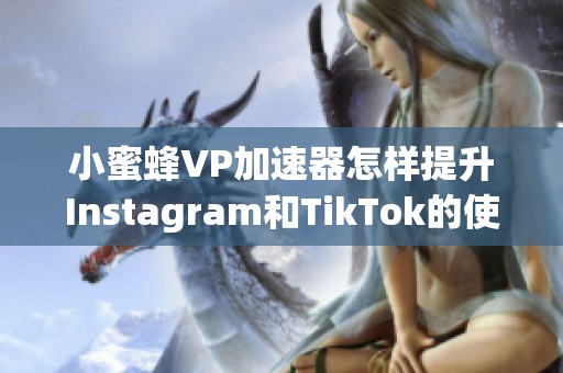 小蜜蜂VP加速器怎样提升Instagram和TikTok的使用体验呢