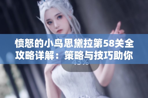 愤怒的小鸟思黛拉第58关全攻略详解：策略与技巧助你轻松过关
