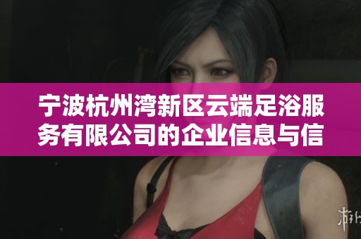 宁波杭州湾新区云端足浴服务有限公司的企业信息与信用查询概览