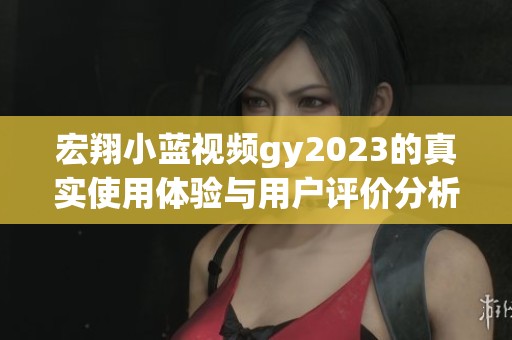 宏翔小蓝视频gy2023的真实使用体验与用户评价分析