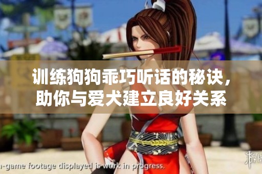 训练狗狗乖巧听话的秘诀，助你与爱犬建立良好关系