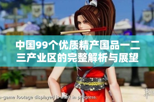 中国99个优质精产国品一二三产业区的完整解析与展望