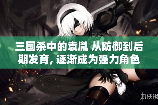 三国杀中的袁胤 从防御到后期发育, 逐渐成为强力角色的成长之路
