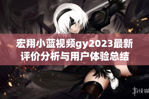 宏翔小蓝视频gy2023最新评价分析与用户体验总结