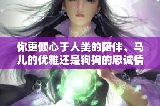 你更倾心于人类的陪伴、马儿的优雅还是狗狗的忠诚情感选择？