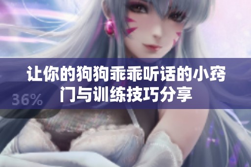 让你的狗狗乖乖听话的小窍门与训练技巧分享