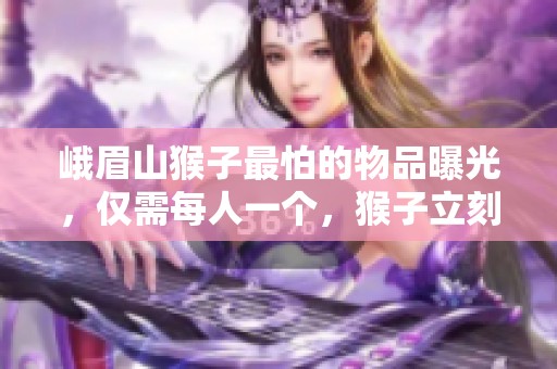 峨眉山猴子最怕的物品曝光，仅需每人一个，猴子立刻逃之夭夭