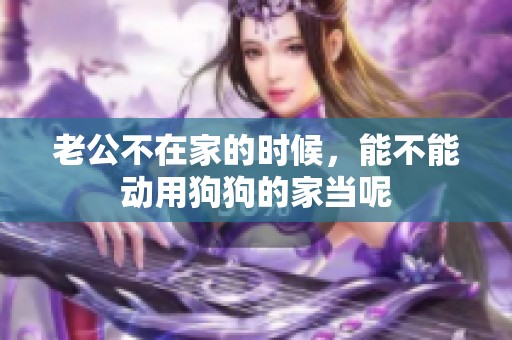 老公不在家的时候，能不能动用狗狗的家当呢
