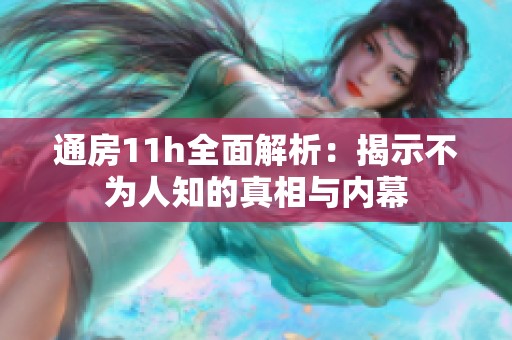 通房11h全面解析：揭示不为人知的真相与内幕