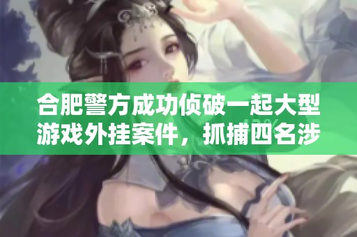 合肥警方成功侦破一起大型游戏外挂案件，抓捕四名涉案嫌疑人展开深入调查