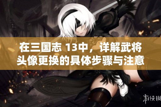 在三国志 13中，详解武将头像更换的具体步骤与注意事项