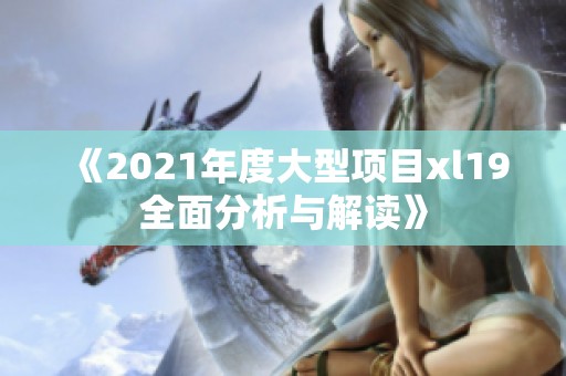 《2021年度大型项目xl19全面分析与解读》