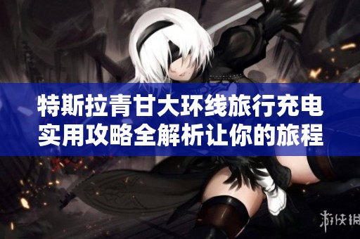 特斯拉青甘大环线旅行充电实用攻略全解析让你的旅程无忧无虑