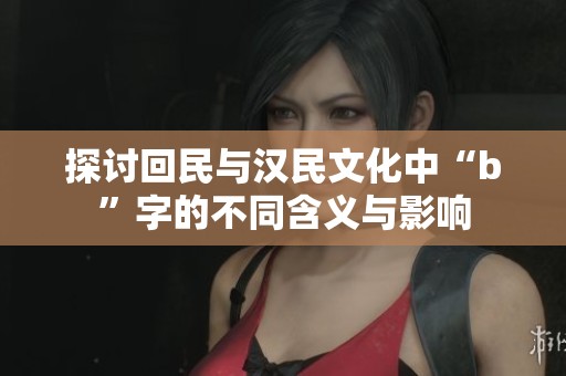 探讨回民与汉民文化中“b”字的不同含义与影响