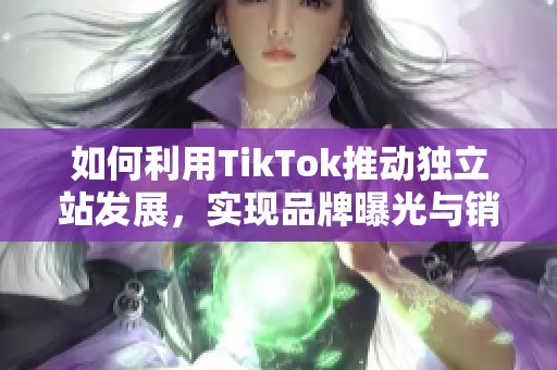 如何利用TikTok推动独立站发展，实现品牌曝光与销售增长