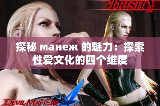 探秘 манеж 的魅力：探索性爱文化的四个维度