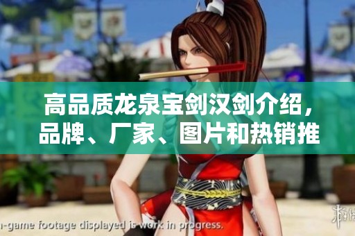 高品质龙泉宝剑汉剑介绍，品牌、厂家、图片和热销推荐一网打尽