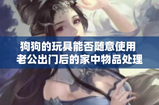 狗狗的玩具能否随意使用 老公出门后的家中物品处理技巧