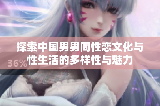 探索中国男男同性恋文化与性生活的多样性与魅力
