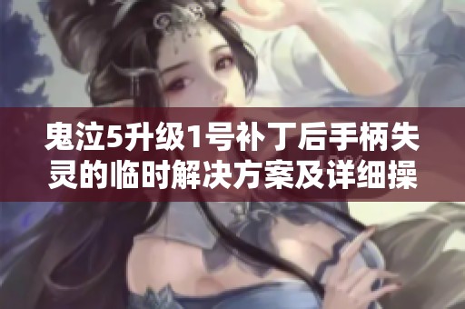 鬼泣5升级1号补丁后手柄失灵的临时解决方案及详细操作指南分享