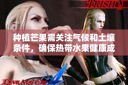 种植芒果需关注气候和土壤条件，确保热带水果健康成长与丰产
