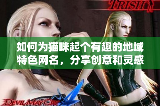 如何为猫咪起个有趣的地域特色网名，分享创意和灵感